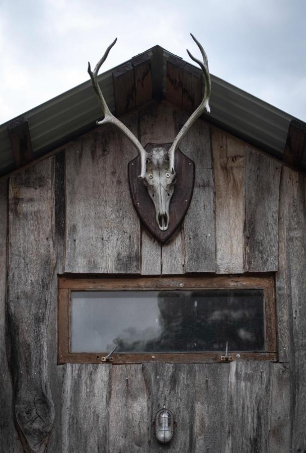 Hotel Glamping Fluffy Horns - Glempings Pukainie Ragi Plieņciems Exteriér fotografie