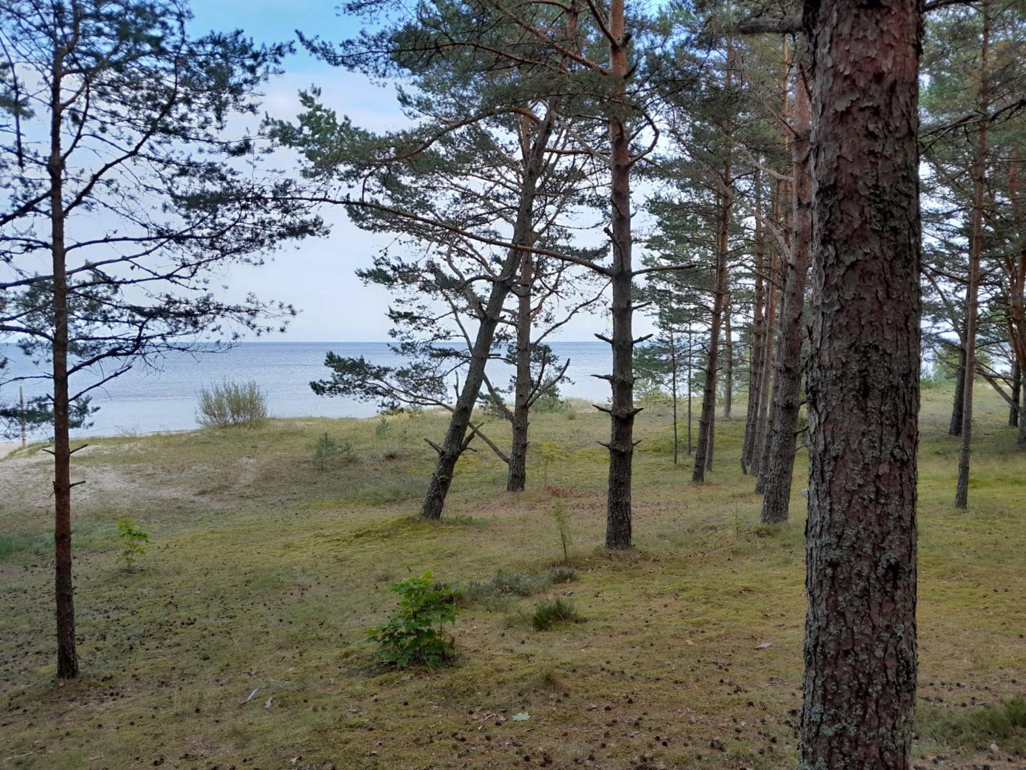 Hotel Glamping Fluffy Horns - Glempings Pukainie Ragi Plieņciems Exteriér fotografie